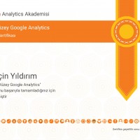 Google İleri Düzey Analytics Sertifikası