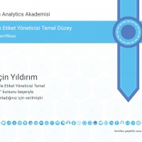 Google Etiket Yöneticisi Temel Düzey Sertifikası