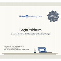 LinkedIn Content and Creative Design Certification