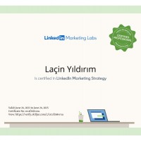 LinkedIn Marketing Strategy Certification