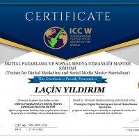 ICCW Dijital Pazarlama ve Sosyal Medya Uzmanlığı Master Eğitimi